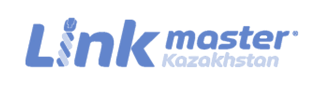 Логотип клиента Метриум: Link Master Kazakhstan, сетевое оборудование